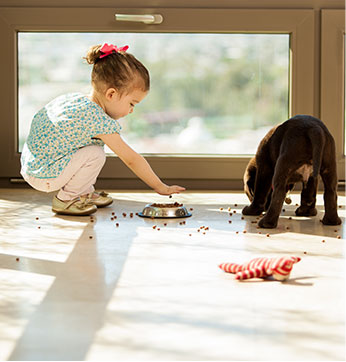 Floor Care & Cleaning